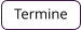 Termine