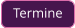 Termine